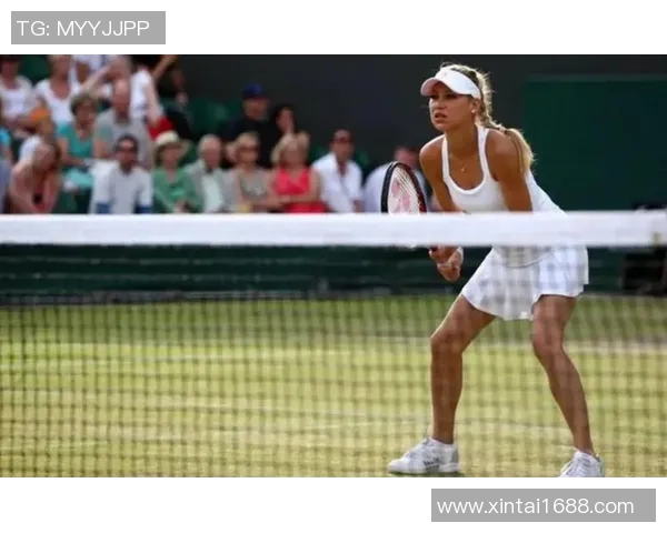 科学网球力量训练全攻略提升击球力量与稳定性的有效方法